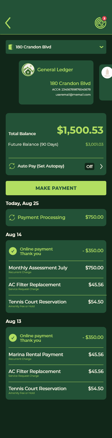 Dues Ledger – Bal 0 (alt)