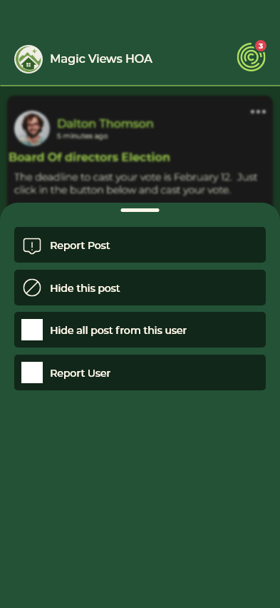 Feed Post Options