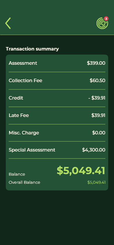 Transaction Summary